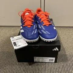 Item thumbnail for item b24c4142-779a-41a1-9770-ed045e87a995