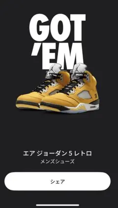 Nike Air Jordan 5 Retro 