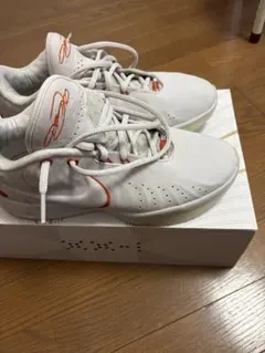 NIKE レブロン21