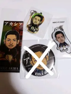 AKIRA＊アカシア4点セット