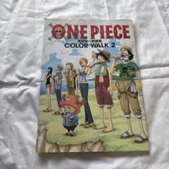 ONE PIECE COLOR WALK 2