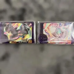 小*田様 ポケモンフレンダ　ゼクロム レシラム