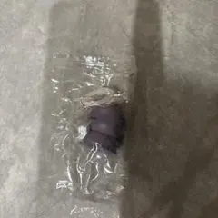 映画ちいかわ 人魚の島のひみつ 入場特典第4弾 ヒトハ