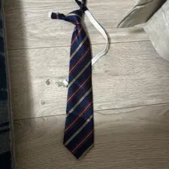 Item thumbnail for item b460a125-ee66-4cef-b678-f5972693ff02