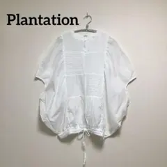 Plantation　プランテーション　シェイクコットンブラウス Mのサムネイル