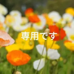 ttkkさま専用【美品　美しいヌメ革】　スナップ長財布　本革　バイソン刻印