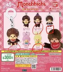 モンチッチ　めじるしあくせさりー2