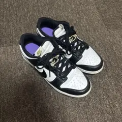 Nike Dunk Low Retro SE