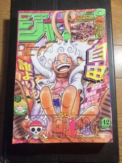 ラ*迎様 週刊少年ジャンプ 2022年42号　ワンピース　ニカルフィ