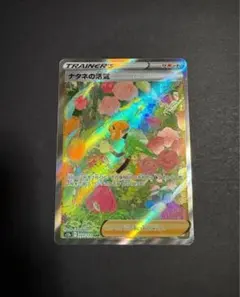 2025年最新】ナタネの活気 sarの人気アイテム - メルカリ