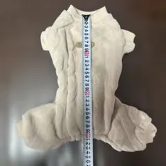 Item thumbnail for item 3dbf7d85-0873-4330-95e2-f66280cca589