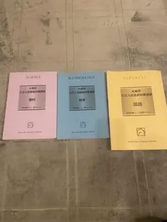 kng13様 リクエスト 2点 まとめ商品