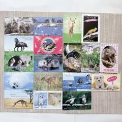 テレフォンカード テレカ 使用済み まとめ売り NTT