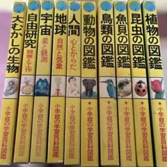 Item thumbnail for item b63c6d49-7db0-4101-ba6e-edf4dd33c876