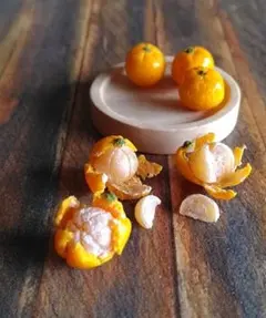 ミニチュアフード おもちゃ