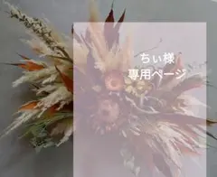 ちぃ様専用ページ