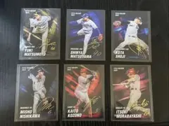 2026年最新】プロ野球チップスタイトルホルダーの人気アイテム - メルカリ