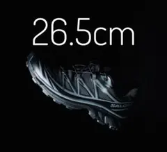 Salomon XT-6 GORE-TEX Black/Asphalt　26.5