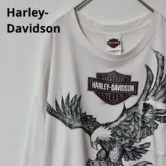 00s Harley-Davidson vintage 古着 イーグル柄 ロンT