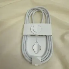 Apple 純正タイプCケーブル　iPhone16pro付属品