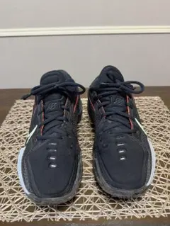 Item thumbnail for item 5f57acbf-255f-47e8-a9ed-43baa77fb377