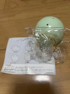 うちの子のけだまだま　プードル