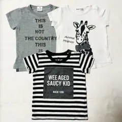 WASK入り 男の子 夏服 90 3点セット BEBE