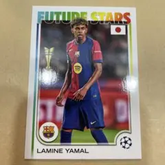 サーモン様 リクエスト 2点 まとめ商品