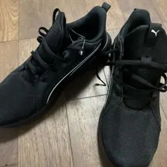 Item thumbnail for item 9c2374f6-7810-4612-8326-674bed81c0e4