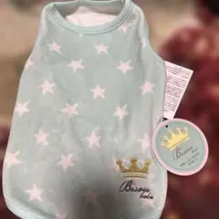 Item thumbnail for item aa7924d4-15bc-4dac-a8a0-06f57a7420d0