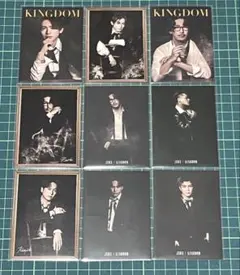 三代目J SOUL BROTHERS KINGDOM フォトカード 9枚セット③