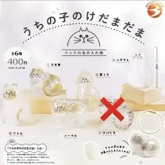 うちの子のけだまだま　５種セット　ガチャガチャ