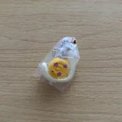 ざわざわ森のがんこちゃん/すいんぐこれくしょん/ツムちゃん