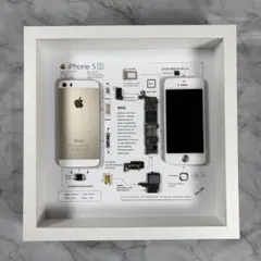 2026年最新】iPhone 標本アートの人気アイテム - メルカリ