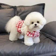 Item thumbnail for item c4af92a8-eafb-474d-b40d-bd34cf07d1ec