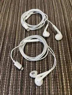 Apple 순정 Lightning 이어폰 2개 세트