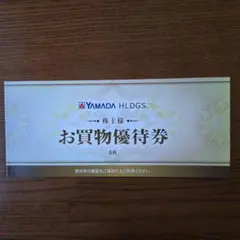 ヤマダ電機　株主優待券　3,000円分