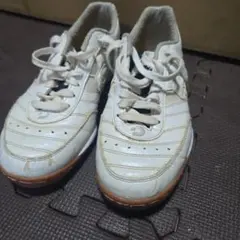 Desporte フットサルシューズ ホワイト25.5cmのサムネイル