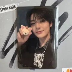 Stray Kidsアイエン トレカ たまごっち skzoo