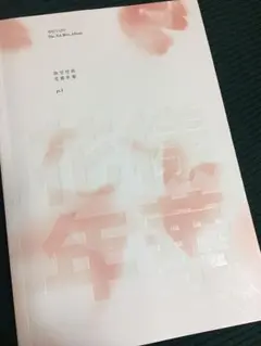 かりこ様専用☆BTS 花様年華 pt.1・2セット