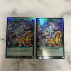 コスモス姫のお戯れ　スリーブ コスモス姫のお戯れ スリーブ - メルカリ