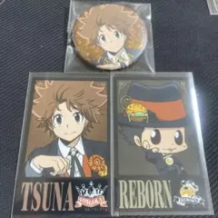 リボーン パブリックスクール 沢田綱吉 リボーン まとめ