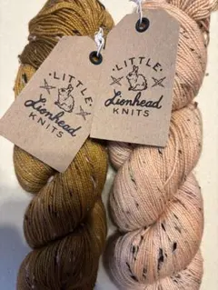 毛糸セット：ソックヤーン 海外　手染め