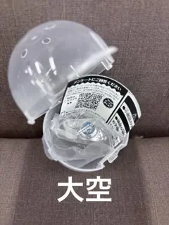 家庭教師ヒットマンREBORN! リボーン　ボンゴレリング　大空