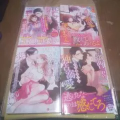 隠れ御曹司の手加減なしの独占溺愛 エタニティ文庫4冊セット