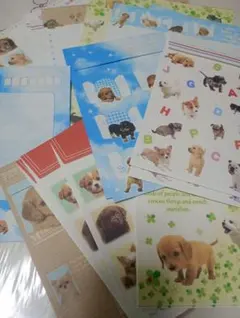 平成レトロ　レターセット　バラ　実写犬