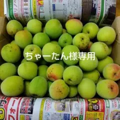 ちゃーたん様専用