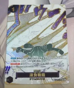 ぶ*う様 ワンピースカード 浸食輪廻 パラレル - メルカリ