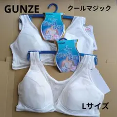 GUNZE クールマジックノンワイヤー ブラ Lサイズ 2枚のサムネイル