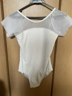 Item thumbnail for item 212e50b4-7e98-455a-b54e-5b41b36b8924